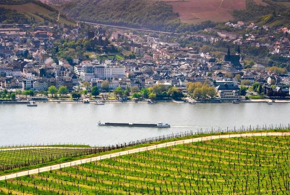 gibt-es-am-rhein-zu-sehen