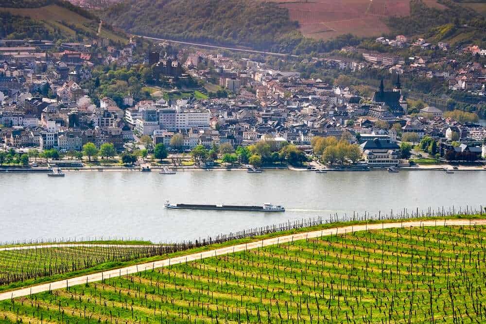 gibt-es-am-rhein-zu-sehen