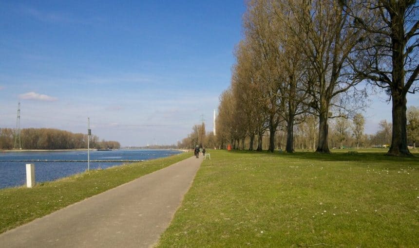 Wo kann man schön am Rhein laufen?
