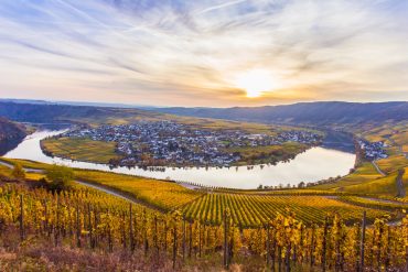 rheintal-mikroklima-waermeschutz-weinanbau